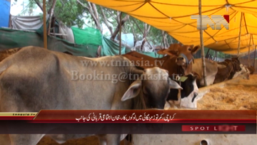 Karachi- Eid-ul-Azha Collective Sacrifice