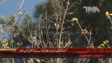 Quetta- Cold Weather in City