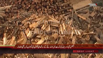 Faisalabad- Wood price Increases