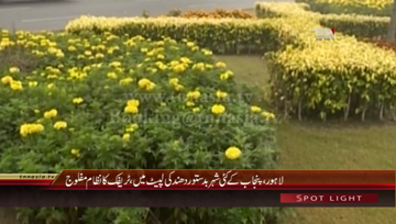 Lahore- Fog Intensity in different parts of Punjab