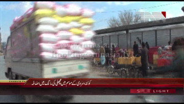 Quetta- Fish Demand Increases due to Cold Weather