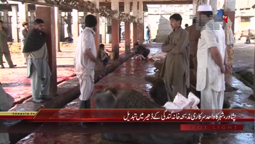 Peshawar- Government Slaughter House in Bad Condition