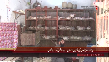 Peshawar- Chicken Price Hike