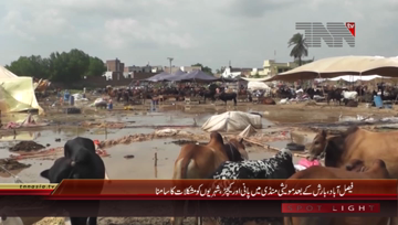 Faisalabad- Cattle Market Issues After rain
