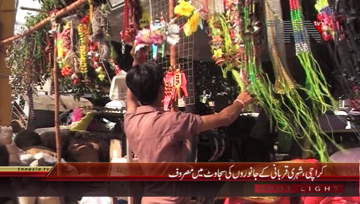 Karachi- Animal Decoration Trend Increases
