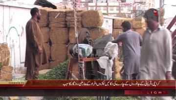 Karachi- Temporarily Fodder Shops