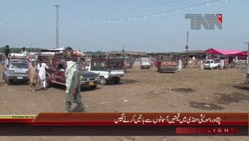Peshawar- Cattle Market Prices High
