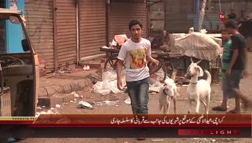 Karachi- Eid-ul-Azha, Sacrifices of Animals Begins