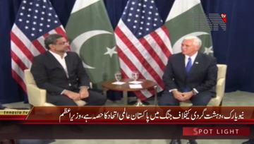 New York- PM Shahid Khaqan Abbasi meets US Vice President
