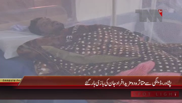 Peshawar- 2 More Die From Dengue