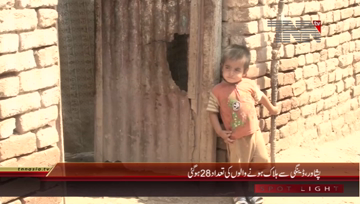 Peshawar- Dengue in Peshawar: Death toll reaches 28