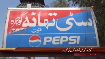 Gojra- Peoples Fear From Dogs In City
