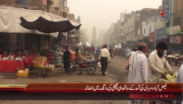 Faisalabad- Fish Demand Increases