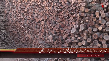 Quetta- Wood Demand Increases
