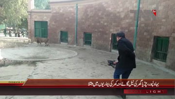 Bahawalpur- Nilgai Virus