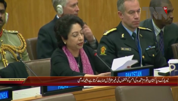 New York- Dr Maleeha Lodhi addresses to United Nations Committee Meeting

