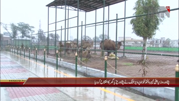Peshawar- CM KPK Parvez Khattak Inaugurates Peshawar Zoo