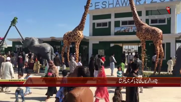 Peshawar- Peoples Enjoy in Zoo