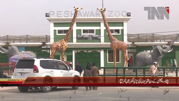 Peshawar- Peoples Enjoying in Zoo