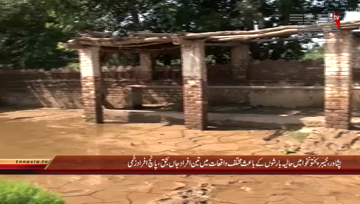 Peshawar- Rain Disaster, Three Killed