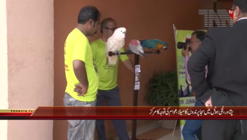 Peshawar- Locals Citizens Enjoying Bird Show