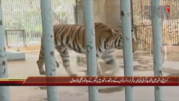 Karachi- Heat Wave, Arrangements in Karachi Zoo