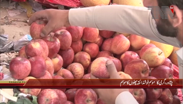 Peshawar- Summer Season And Fruits
