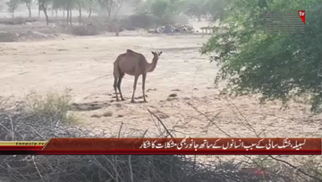 Lasbela- Drought Situation in City