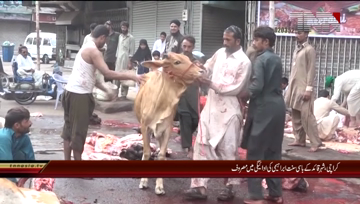 Karachi- Eid-ul-Azha Prayer,Animal Sacrifices