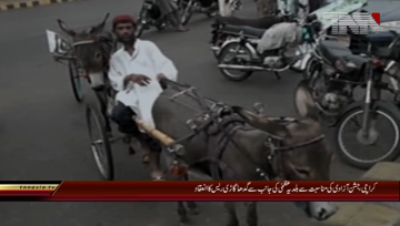 Karachi- Independence Day Preparation,KMC,Donkey Cart Race
