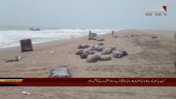 Karachi- Pakistan Coast Guard Action
