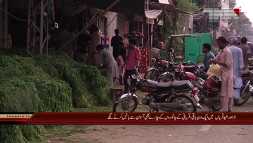 Lahore- Stalls are Established For Bakra Eid Animal Food