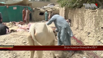 Quetta- Eid-ul-Azha Collective Sacrifices