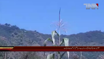 Muzafarrabad- Indian army fire shots at AJK PM's helicopter near Loc