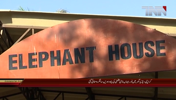 Karachi- Noorjaha Elephent 14th Birthday