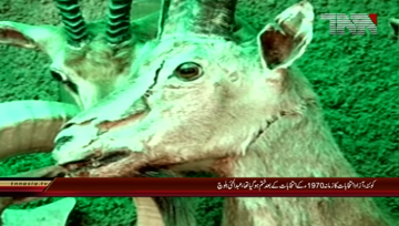 Quetta- Senior Politition Abdul Hayee Baloch & Lashkari Raisani Press Conference