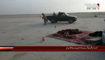 Quetta- Illegal Birds Hunting