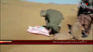 Quetta- Illegal Birds hunting in Noskhi