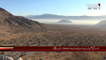 Quetta- Markhor Quantity Increases in Chiltan National Park