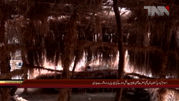 Islamabad- Preparing a beautiful pattern of Jesus' birth place in islamabad Regarding Christmas