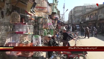 Quetta- Birds Traders Upset Due to Dollar Price