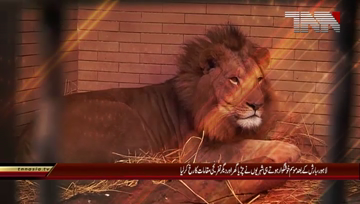Lahore- Weather pleasant, Public throng Zoo