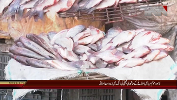 Lahore- Fish demand increas due to Cold Weather