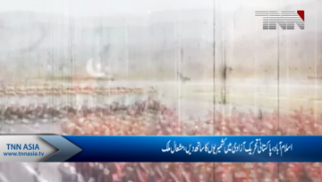 Islamabad- Pakistani support Kashmiri freedom  Movement, Says Mishal Mullak 