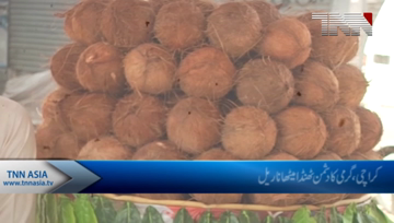 Karachi- Coconut best Fruit in Summer