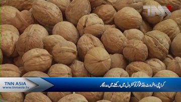 Karachi- Walnut helper for blood and Sugar controls 