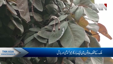 Islamabad- Heavy Rain in Different Cities