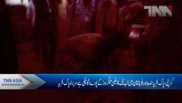 Karachi- Mangroves plantation to strengthen human ties with nature CNS