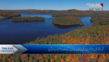Toronto To Warm Back Up This Week With Sunshine And Double-Digit Highs