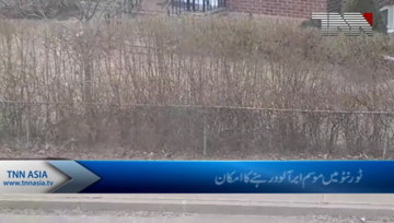 Toronto Weather Update.